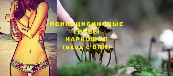 гидра Абаза