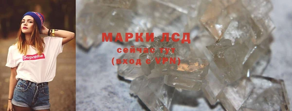 гидра Абаза